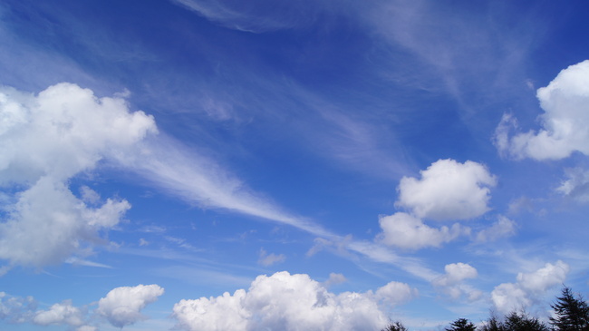 f0233414_2212676.jpg