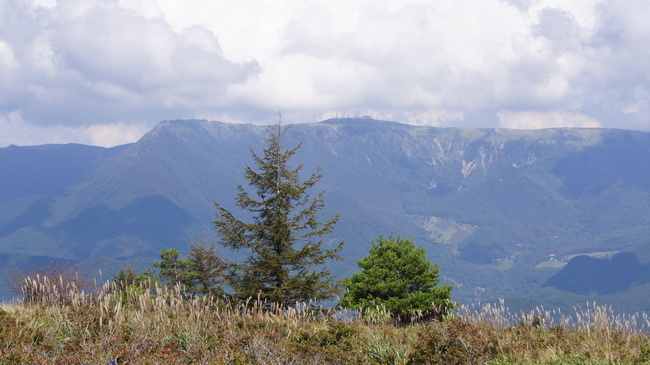 f0233414_2252384.jpg