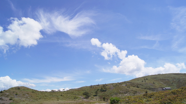 f0233414_2314228.jpg