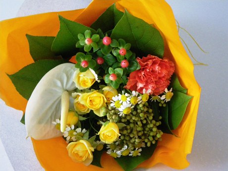 e0156620_15575151.jpg