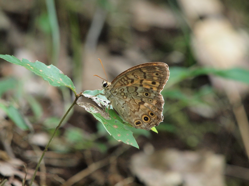 c0085622_2214175.jpg