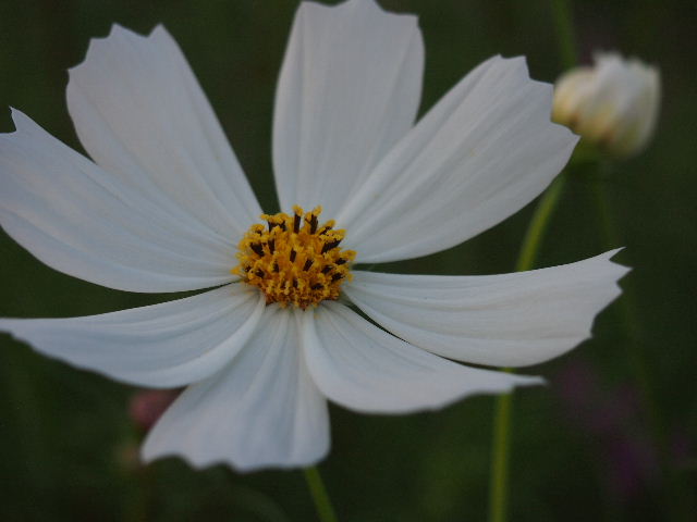 e0114823_2054772.jpg