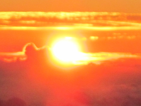 d0156625_6135261.jpg