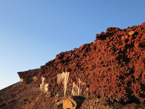 d0156625_6165421.jpg