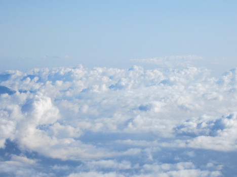 d0156625_617397.jpg