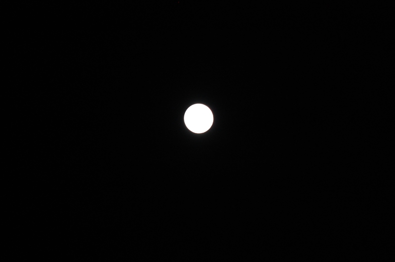d0104926_6521664.jpg