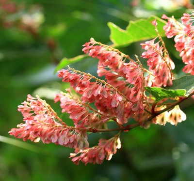 c0104227_8124456.jpg