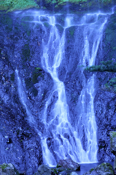 e0025930_20402938.jpg