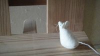 c0188731_168194.jpg