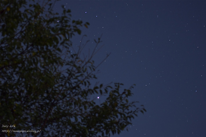 b0229832_2036186.jpg