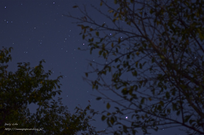 b0229832_20374466.jpg