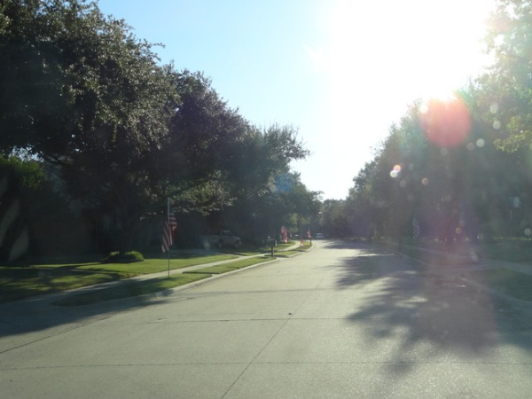 f0238932_1240093.jpg