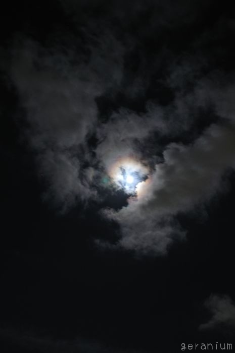 c0133533_05512.jpg