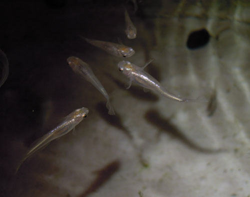 e0097534_17315328.jpg