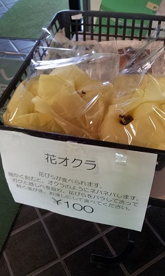 a0018237_14103462.jpg