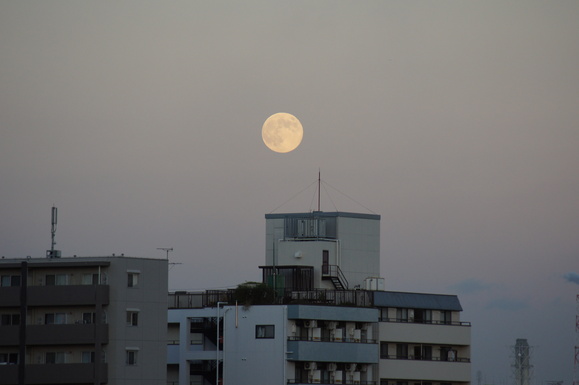 b0208439_2264448.jpg