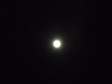d0021146_3272316.jpg