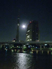 e0181546_15404170.jpg