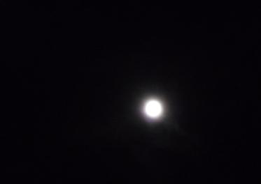 f0183546_12521292.jpg