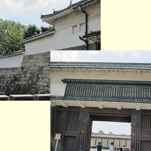 f0064449_873891.jpg