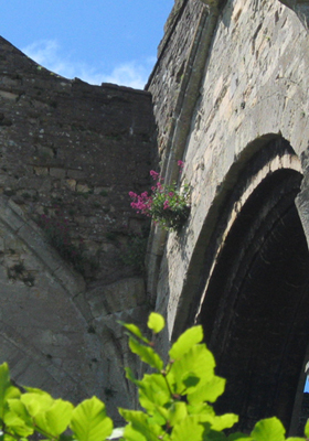 f0166749_14491743.jpg