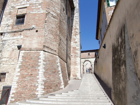 c0206352_58165.jpg