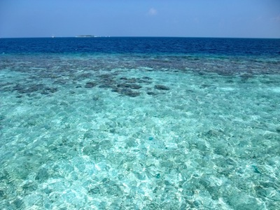 f0190653_12351595.jpg