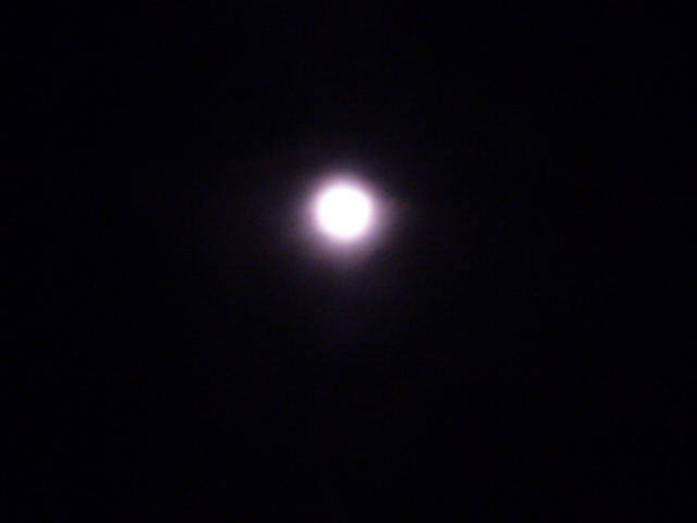 f0221360_10236.jpg