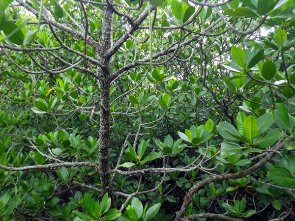 c0048265_9572319.jpg