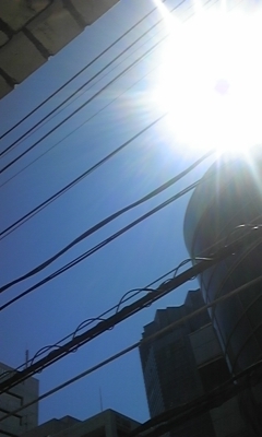 e0143667_1247213.jpg