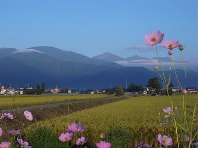 c0166668_2212239.jpg