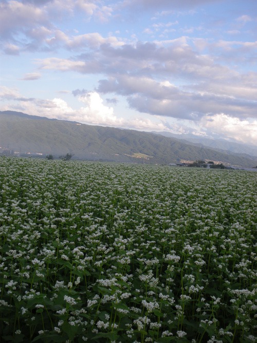 b0125570_10514713.jpg