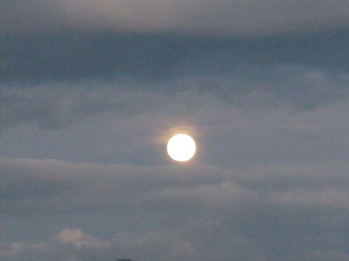 b0125570_1053240.jpg