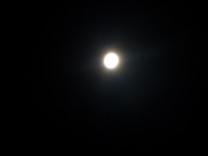 c0216472_17345663.jpg