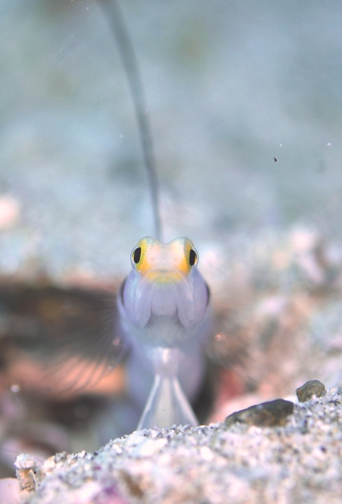 c0181073_761367.jpg