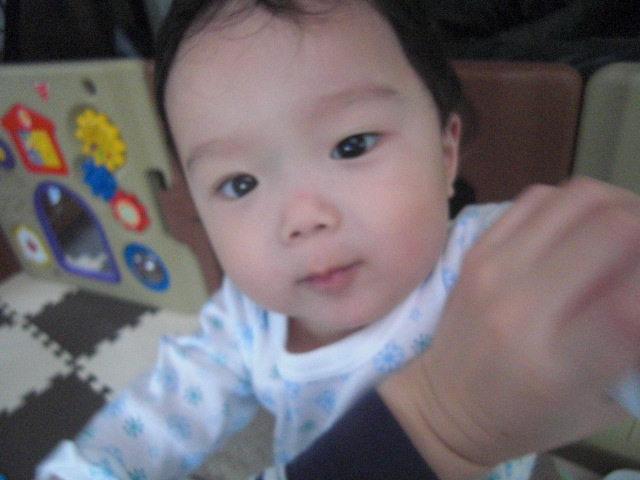 f0200773_9514620.jpg