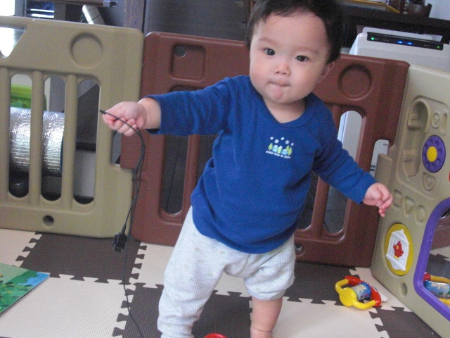 f0200773_9562776.jpg