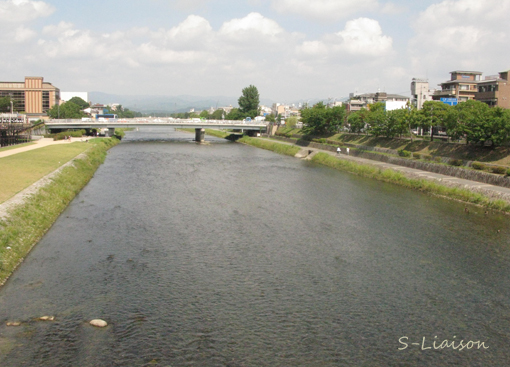 b0139477_21513584.jpg