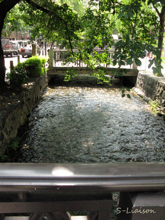 b0139477_221477.jpg