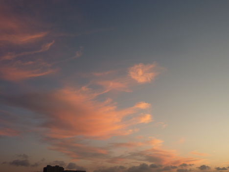 e0207477_8571061.jpg