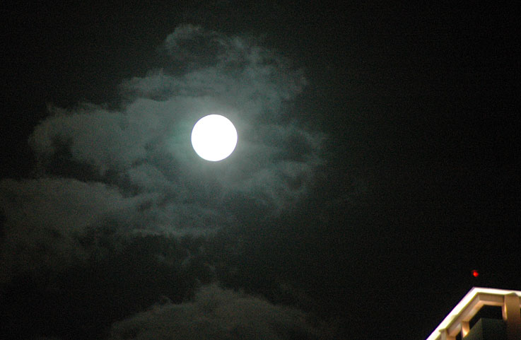 b0057679_994146.jpg