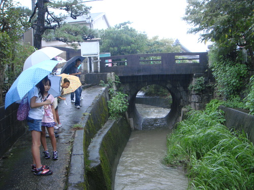 e0008880_18866.jpg