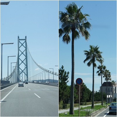 e0236480_037611.jpg