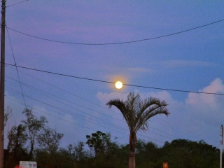 d0240983_9123937.jpg