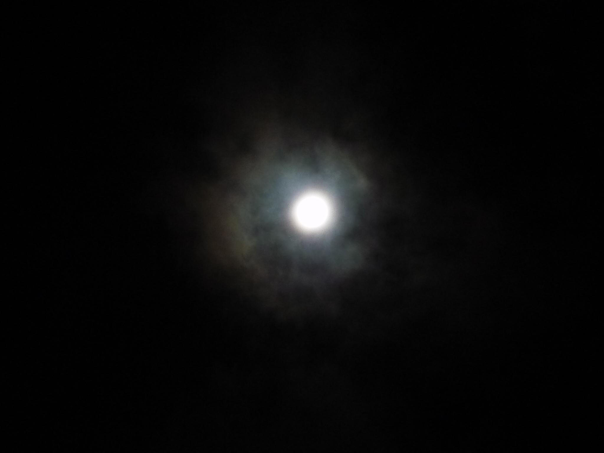 f0198186_7583538.jpg