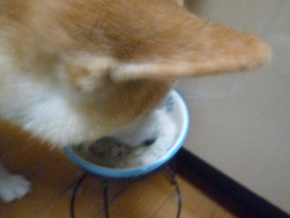 c0123890_21154182.jpg