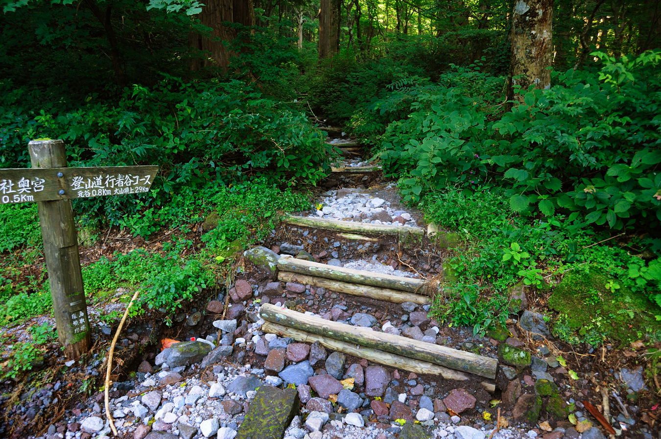 c0138991_23444769.jpg