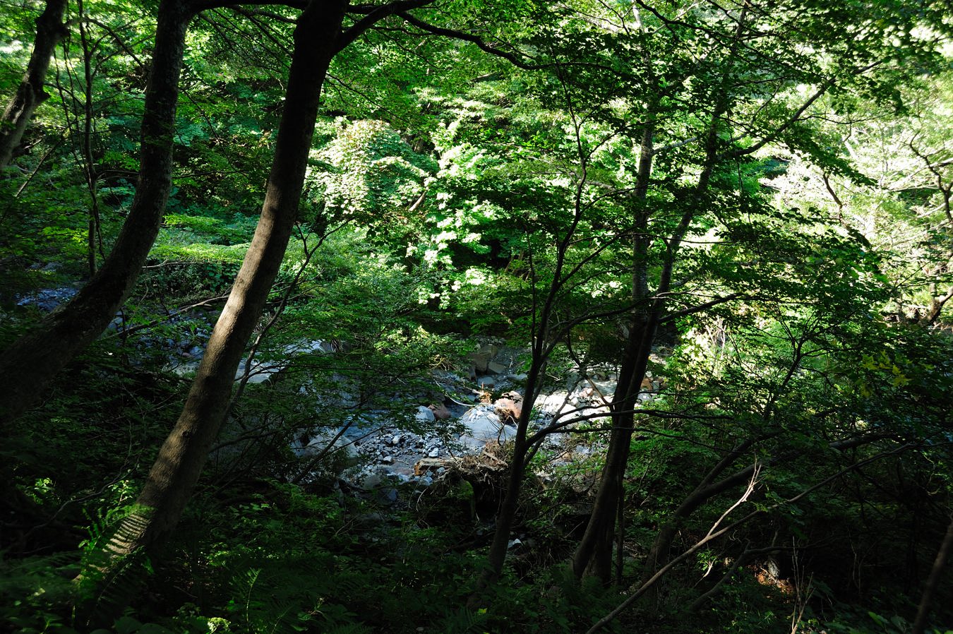 c0138991_23455592.jpg