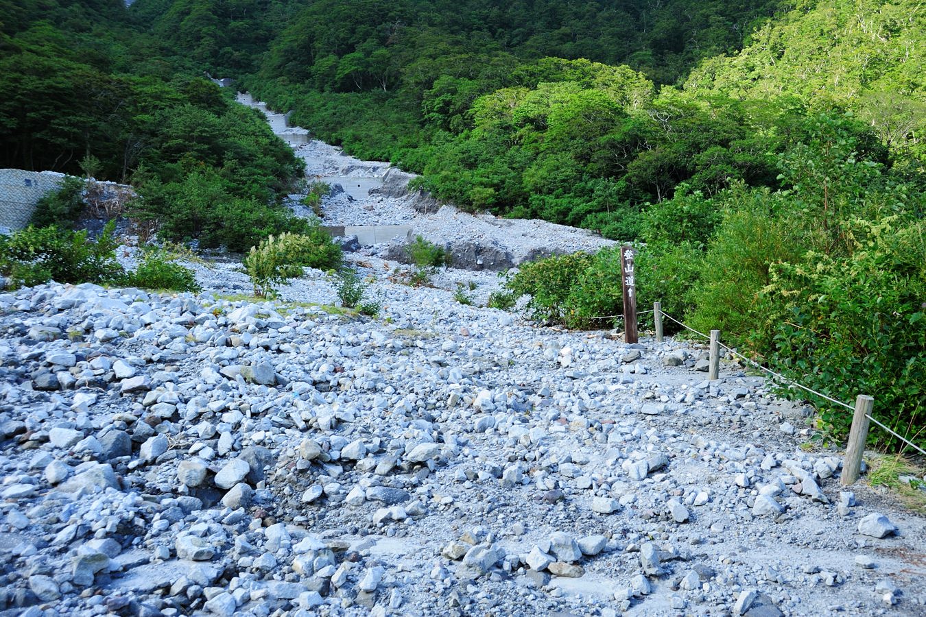 c0138991_2349597.jpg