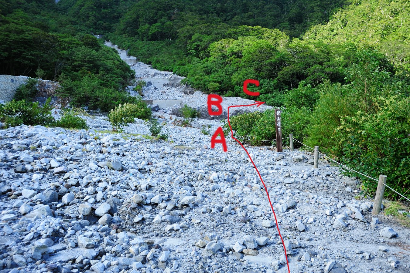 c0138991_2350035.jpg